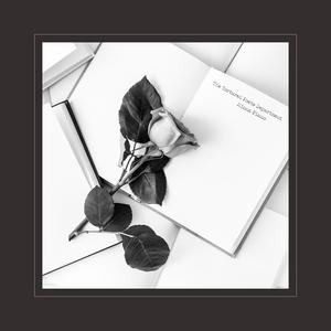 男人女人日逼视频
